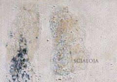Toti Scialoja