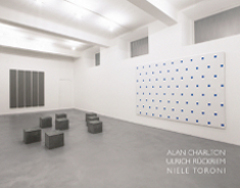 Niele Toroni